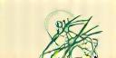 Holistic Health Council logo